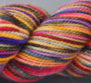 KPPPM - Koigu Painter's Palette Premium Merino