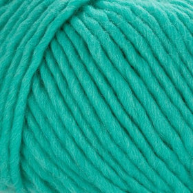 Young and Trendy Solid