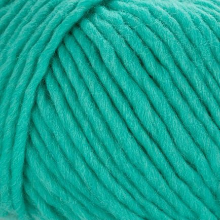 Young and Trendy Solid