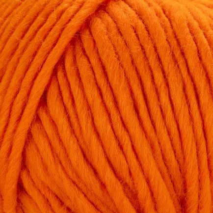 Young and Trendy Solid