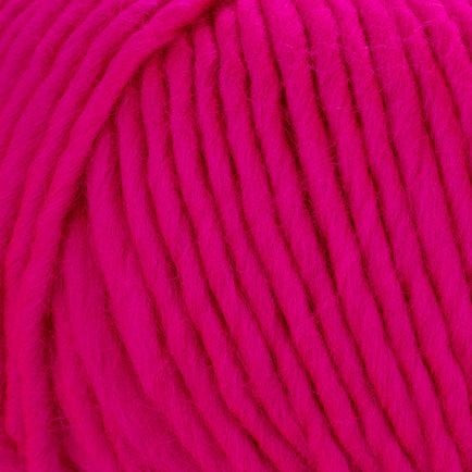 Young and Trendy Solid