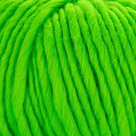 Young and Trendy Solid