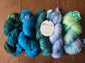Ella Rae Lace Merino Chunky