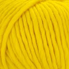 Young and Trendy Solid