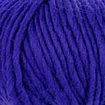 Young and Trendy Solid