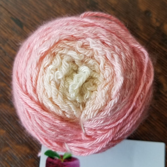 Nirvana Sport Standard